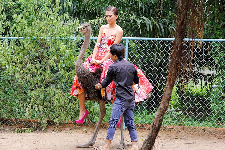 Mâu Thanh Thủy gần như khóc thét khi phải cười đà điểu 