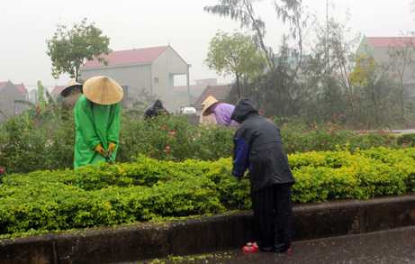mưa lớn, quảng bình, quốc tang