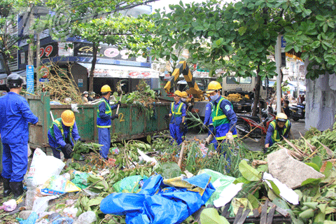 Đà Nẵng, bão số 11, bão Nari, gồng mình, thiệt hại, sau bão, càn quét