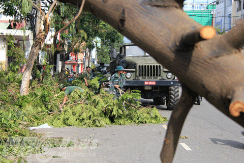 Đà Nẵng, bão số 11, bão Nari, gồng mình, thiệt hại, sau bão, càn quét