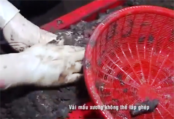 Những mẩu xương phát hiện tại nơi nhà tâm linh cho là mộ liệt sỹ, hầu hết đều vỡ vụn, không thể ráp nối. 