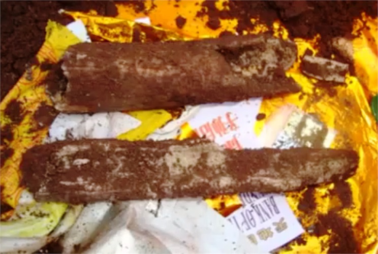 Các mẩu xương giả được làm vỏ bằng xi măng... 