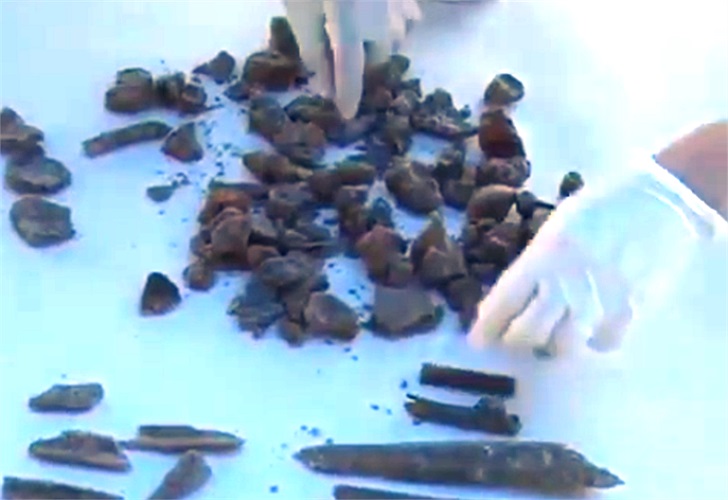 Viện Pháp y Quân đội và Viện Công nghệ sinh học kết luận những mẫu xương tìm được có lẫn cả xương người, xương giả và xương động vật (xương bò, lợn nái). 