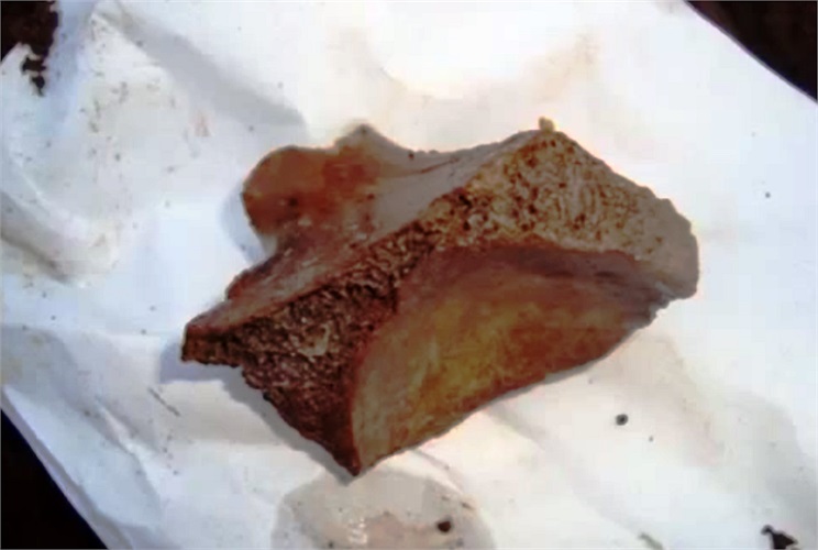 Thậm chí còn có mẩu xương giả làm bằng xi măng. 