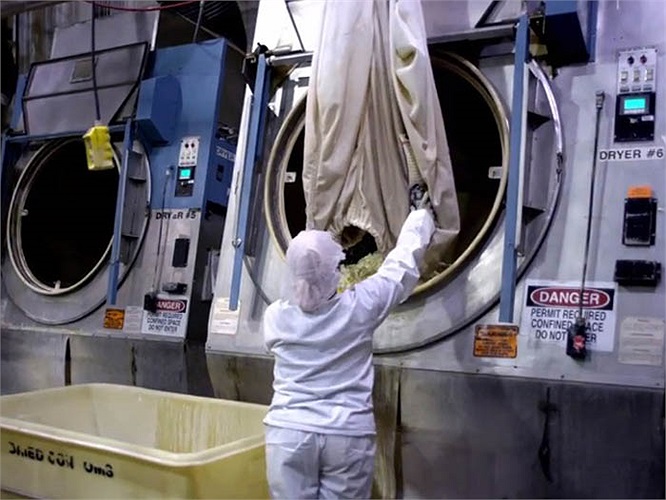 Một nhân viên sẽ đảm bảo toàn bộ quá trình diễn ra nhất quán, không sai sót