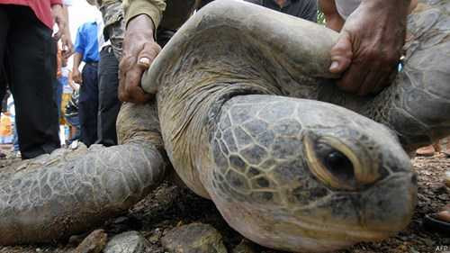 Thế giới 24h: Philippines bắt 13 ngư dân Việt Nam