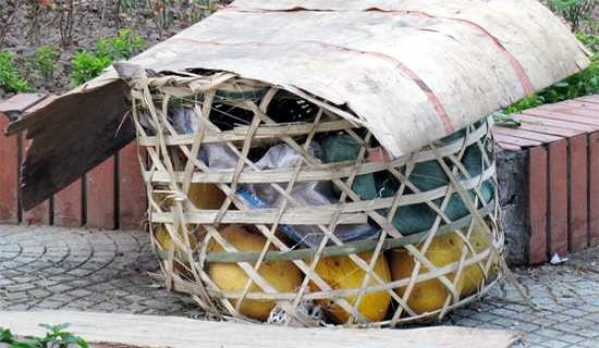 Từng sọt hoa quả thối được “tập kết” tại vườn hoa Long Biên