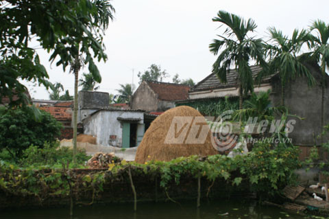 Bão hủy diệt Hải Yến, bão số 14, Hải Phòng, Tiên Lãng