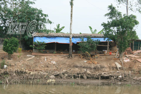 Bão hủy diệt Hải Yến, bão số 14, Hải Phòng, Tiên Lãng