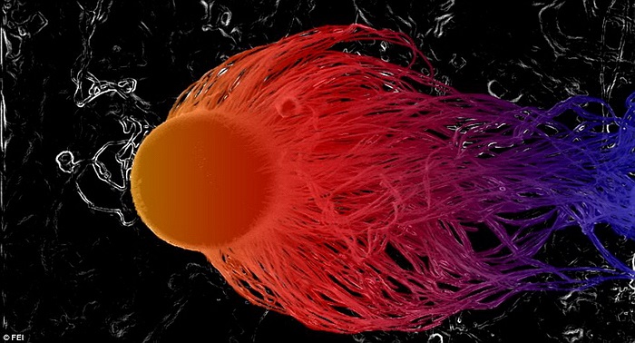  Sợi nano silic thường được tìm thấy trong các cục pin