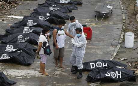 bão hủy diệt haiyan