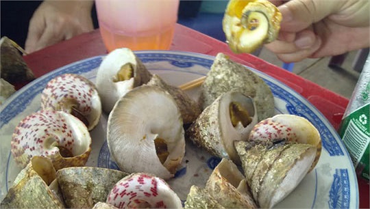 Ốc vú nàng từ xa xưa đã được xem là loài ốc quý, được dùng cung tiến vua. Thịt ốc vú nàng ăn có vị ngọt, không dai mà rất giòn, không quá béo và có một mùi thơm rất đặc trưng. Loài ốc này sống ở vùng biển Côn Đảo, biển miền Trung