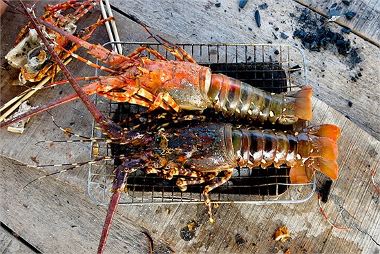 Bình Ba là một hòn đảo nằm ngay cửa vào vịnh Cam Ranh, tỉnh Khánh Hòa. Ngư trường ở đây có giống tôm hùm bông xanh có hương vị rất riêng và khá đặc biệt, trở thành một trong những món đặc sản tiến vua trứ danh của địa phương này. 