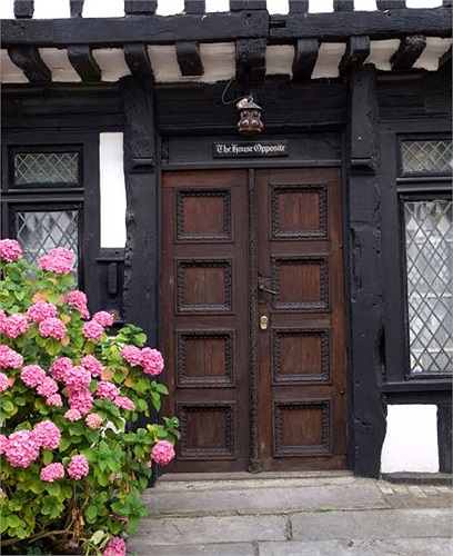 Một bụi cẩm tú cầu dễ thương sẽ khiến người mua nhà xiêu lòng. Loài hoa này xếp vị trí thứ 9 theo bình chọn của Homebase.