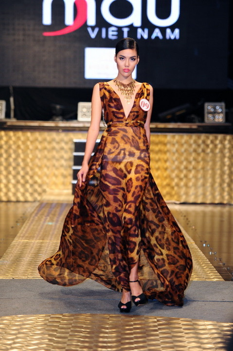 Siêu mẫu Việt Nam