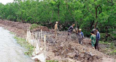 thiệt hại, người chết, mất tích, bão số 2