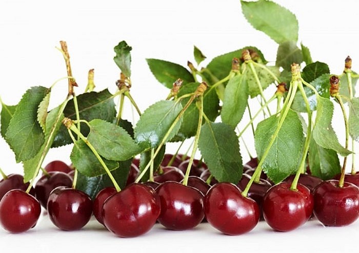Trái Cherry là loại quả chứa chất bioflavonoid giúp bảo vệ lợi không bị hư hại.
