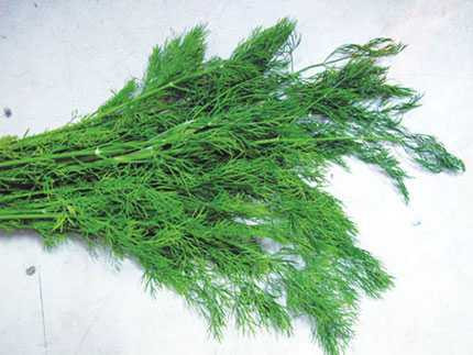 Ăn những gia vị này, bạn sẽ không ung thư