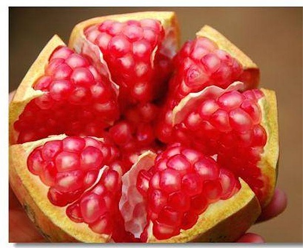 Lựu không chỉ là một loại trái cây ngon, mát mà có nhiều lợi ích cho sức khỏe. Trong quả lựu có chứa một lượng lớn các chất oxy hóa, vitamin C và nhiều loại vitamin khác giúp tăng cường hệ miễn dịch, bảo vệ sức khỏe và chống lại nhiều bệnh tật.