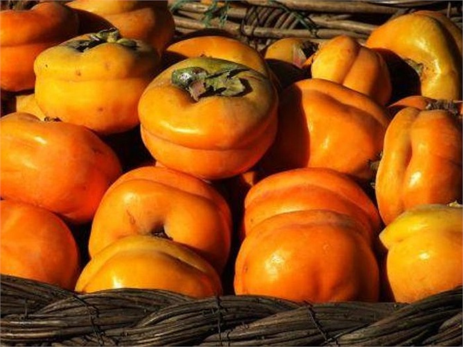 Hồng được sử dụng như phương thuốc cổ truyền chữa nhiễm trùng phổi, trĩ và chữa bệnh suyễn. Tính chất se chát của hồng còn giúp ngừng tiêu chảy, cầm mồ hôi và cầm máu.