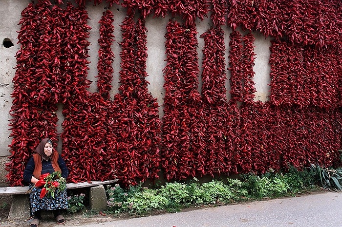 Người phụ nữ ngồi bên cạnh bức tường treo đầy ớt ở Donja Lokosnica, Serbia