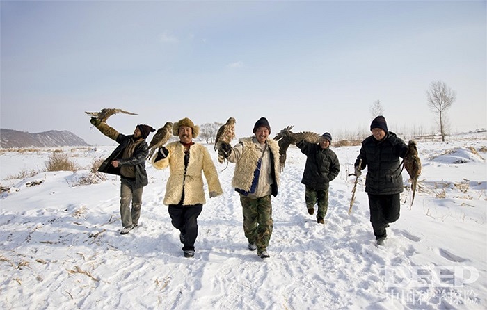 Ngôi làng chim ưng ở khu vực Mãn Châu, cách thành phố Cát Lâm, Trung Quốc 50 cây số.h cảm của chúng với họ