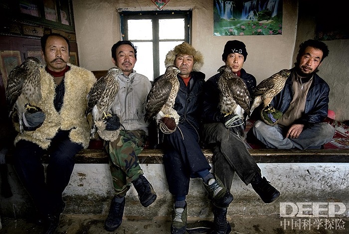 Vào mùa đông, những người nuôi chim ưng lại tụ tập trao đổi kinh nghiệm nuôi chim với nhau