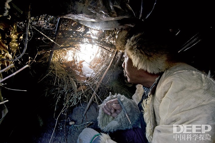 Theo truyền thống làng chim ưng, người dân phải tỏ lòng tôn kính của họ với các vị thần chim ưng tại đền thờ vị thần chim ưng trước khi họ được một chú chim ưng mới