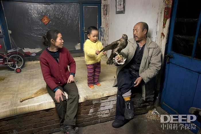 Những em nhỏ ở ngôi làng này được tiếp xúc với chim ưng khi còn rất nhỏ