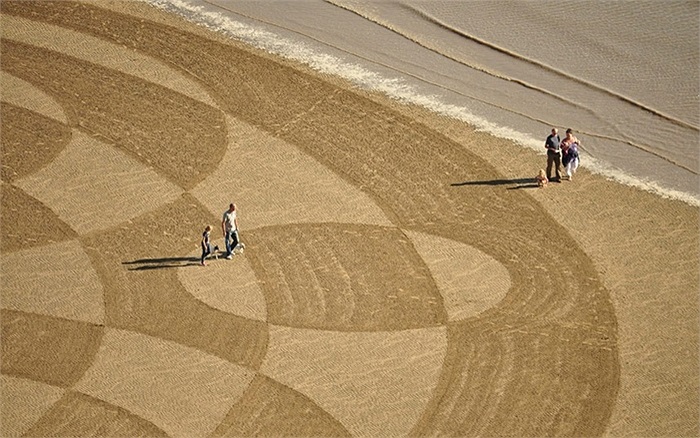 Người dân đi dạo xung quanh những vòng tròn lớn trên cánh đồng ở Anh