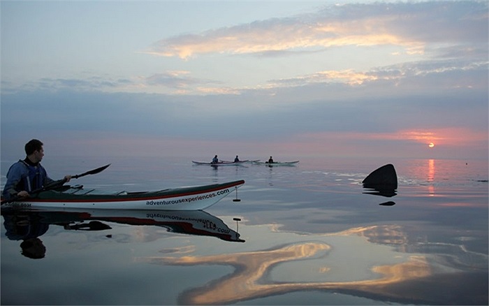 Các vận động viên đua thuyền kayak dạo quanh thị trấn ven biển Pell, Mỹ