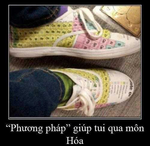 ảnh chế thi tốt nghiệp