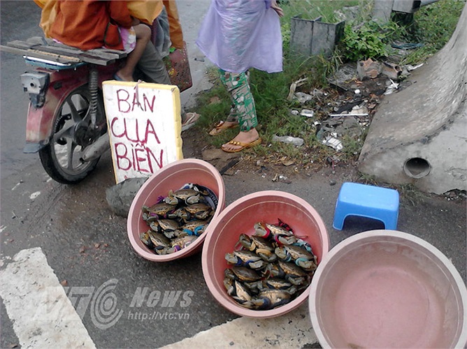 Giá cua biển dao động từ 50.000 đồng/kg đến vài trăm ngàn đồng/kg. Gọi là cua biển, nhưng thực chất, đa phần là cua nuôi (không phải cua tự nhiên). Cua có thương hiệu là cua Cà Mau (tỉnh Cà Mau). Gần đây xuất hiện trên thị trường cua Cần Giờ, TPHCM. 