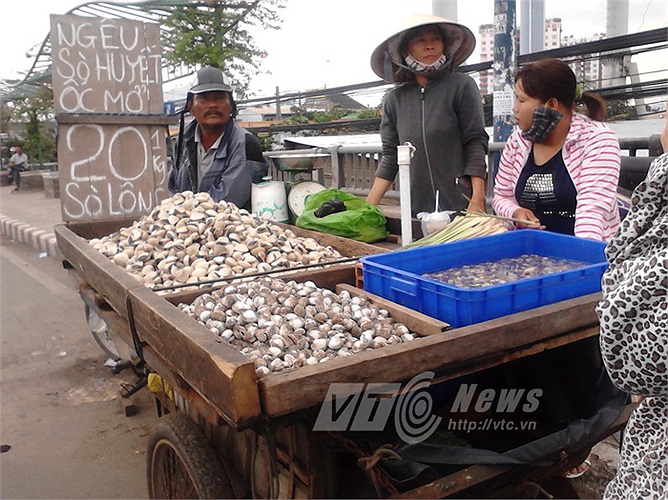Ngoài cua, các loại nghiêu - sò - ốc - hến... cũng được bán nhiều trên cầu Tham Lương (Q.12), dưới chân cầu vượt tại Q.12, Q.Thủ Đức, Q.Bình Tân... giá vài chục ngàn đồng/kg. 