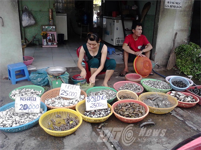 Ngoài cua, các loại nghiêu - sò - ốc - hến... cũng được bán nhiều, giá vài chục ngàn đồng/kg. Đây là điểm bán trên đường Mã Lò (Q.Bình Tân)
