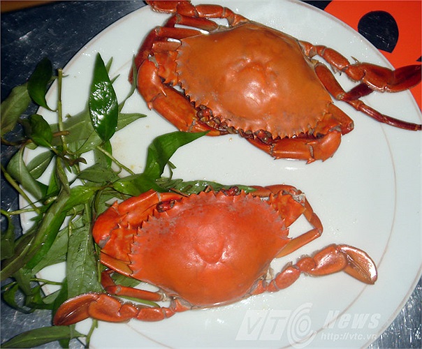 Cua này có giá 20.000 đồng/con/100gr, khi ăn cảm giác thịt chắc, ngon, ngọt, theo lời người bán là cua Cà Mau.