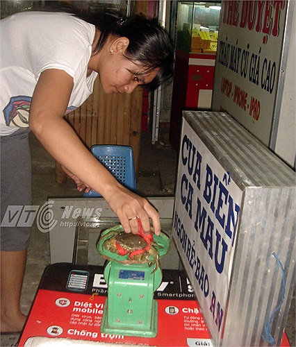 Cua cân nặng gần 100gr bán giá 20.000 đồng tại điểm bán Tân Kỳ Tân Qúy, Q.Tân Phú.