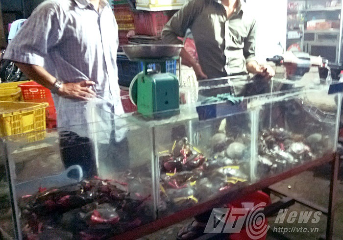 Đang ngã giá tại vựa cua nằm trên đường Tên Lửa, Q.Bình Tân.