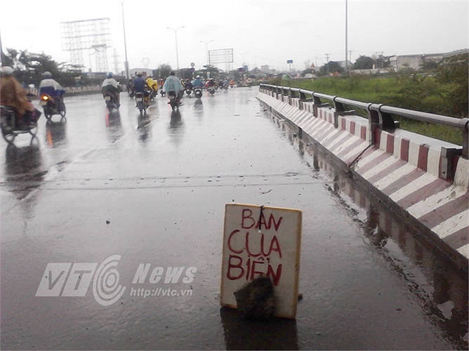 Một bảng thông báo 'bán cua biển' ở dưới gầm cầu đường cao tốc (Q.Bình Tân), cách nơi bán thực tế đến trăm mét. 