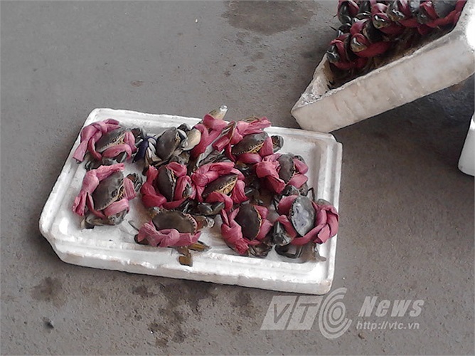 Cua Cà Mau bán nhiều tại các cửa hàng, vựa cua nằm trên đường Tên Lửa (Q.Bình Tân). Cua bán ngoài đường, vỉa hè có giá thấp hơn, chất lượng cũng kém hơn. Cua trong hình này có giá 65.000 đồng/ký (tại một điểm dưới chân cầu vượt).