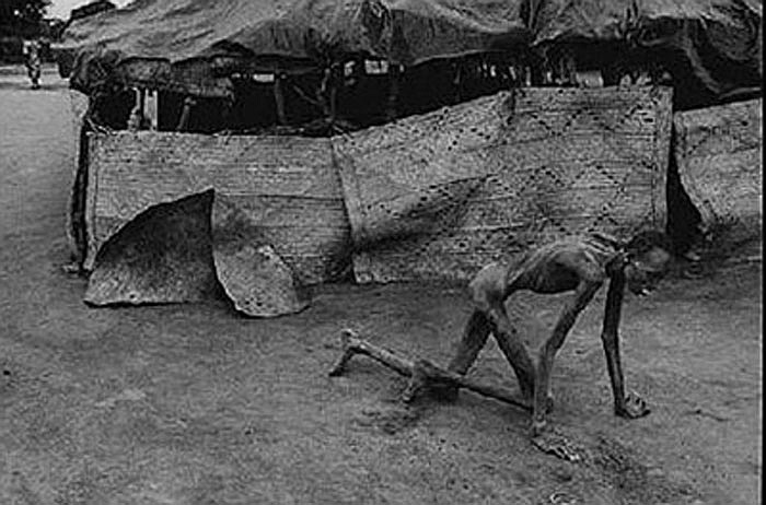 Không đủ sức để đi phải bò.