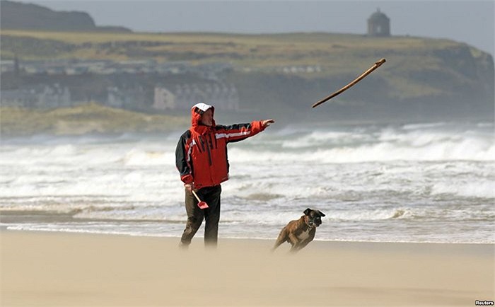 Người đàn ông và chó vui đùa trên bãi biển của miền bắc Ireland