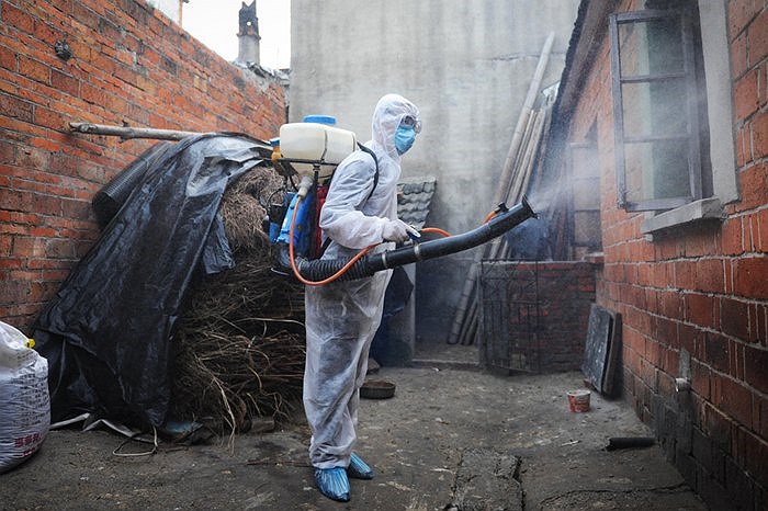 Công nhân phun thuốc trừ cúm gia cầm ở tỉnh An Huy, Trung Quốc