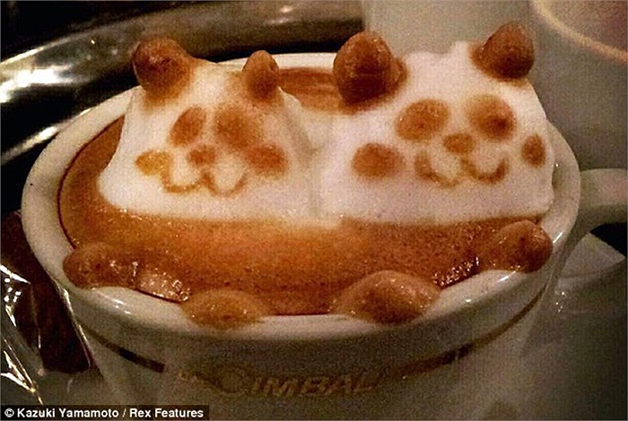 Có khoảng 82.000 người đăng ký Follow ông Yamamoto trên Twitter