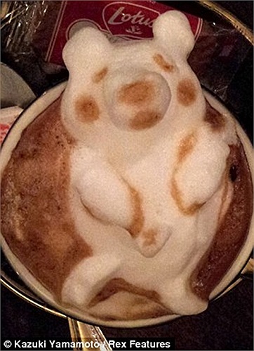 Giấc ngủ yên bình của một chú gấu