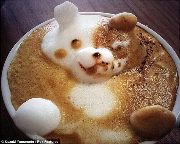 Chú gấu với hình ảnh từ sáng sang tối