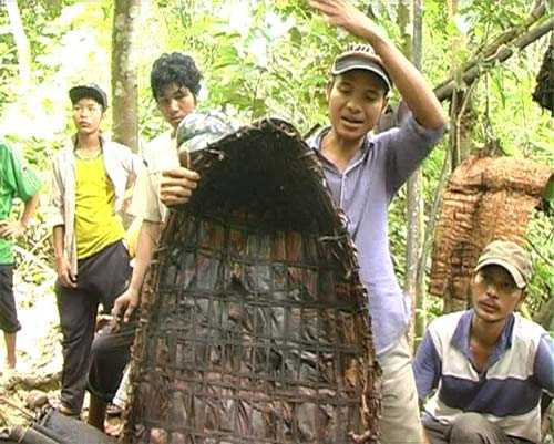 Chiếc áo mưa kỳ lạ do cha con người rừng tự tay “sản xuất”