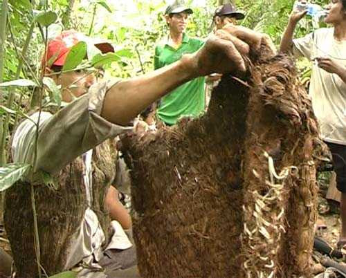 Chiếc áo y hệt áo vải bình thường nhưng lại được làm ra từ vỏ cây và dây rừng