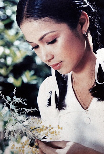 Nổi tiếng từ thời phim ‘mì ăn liền’ ở thập niên 90 cùng Lý Hùng, Diễm Hương…, Việt Trinh được xem là gương mặt hàng đầu màn ảnh Việt bấy giờ.