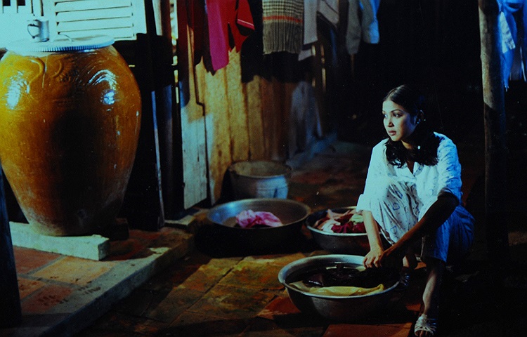 Ngoài ra, Việt Trinh cũng được chú ý trong phim một số phim khác như: Phim Nước mắt buồn vui